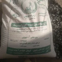 آرد کندم