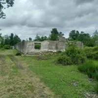 زمین مرغداری|فروش زمین و ملک کلنگی|سیاهکل, |دیوار