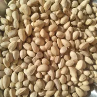 پسته دهن بستاحمد اقایی|خوردنی و آشامیدنی|جوادآباد, |دیوار