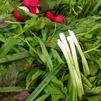 سبزیجات تازه