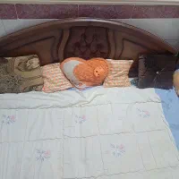 بیا ببر