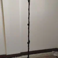 رینگ لایت ایستاده