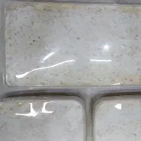 خانگی|خوردنی و آشامیدنی|قم, انسجام|دیوار