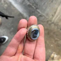 انگشتر شجر دوقاب