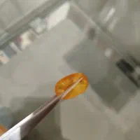 یاقوت زرد|جواهرات|بندرعباس, |دیوار