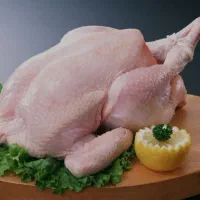 مرغ فروشی (کارگر ساده)|استخدام خدمات فروشگاه و رستوران|دیواندره, |دیوار