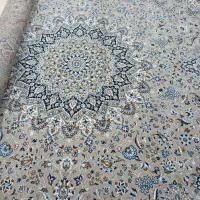 در حد نو هست|فرش|یاسوج, |دیوار