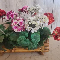 گلهای شمعدانی با گلدان بامبو|گل مصنوعی|تهران, کاشانک|دیوار