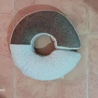 دونات ودور گردنی