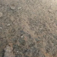 کود گوسفندی|حیوانات مزرعه|رشتخوار, |دیوار