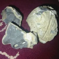 سنگ|کلکسیون اشیاء عتیقه|قوچان, |دیوار