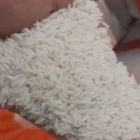 برنج هاشمی درجه یک گیلان