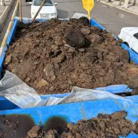 فروش کودحیوانی هرلحظه موجوداست قیمت تفاوقی