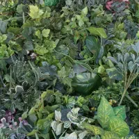 درختچه مصنوعی|گل مصنوعی|بهارستان, |دیوار