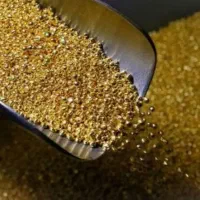 طلای رایگان ملی گلد