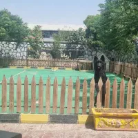 تعلیم و پانسیون سگ