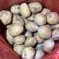 سانته ۱۴۰۳ واردات