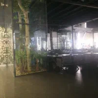 نیرو کار در کافه رستوران