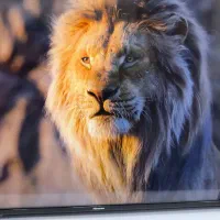 تلویزیون هوشمند ۵۵ اینچ هایسنس 4K