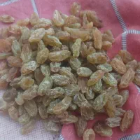 کشمش تازه ارگانیک
