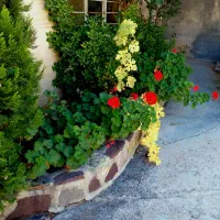 اجاره،باغ،ویلا،کلبه،آب گرم و سرد|اجارهٔ کوتاه‌مدت ویلا و باغ|شیراز, گویم|دیوار