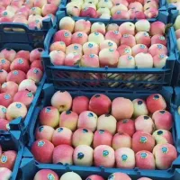 اکیب برای جمع اوری محصولات شما عزیزان