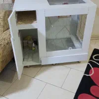 بومهن تپه شهرآباد|لوازم جانبی حیوانات|بومهن, |دیوار