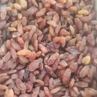 کشمش آفتابی کاشمر|خوردنی و آشامیدنی|ورامین, ورامین|دیوار