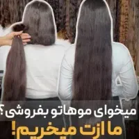خریدار اصلی مو بانوان در میانه وشهرستان های اطراف|آرایشی، بهداشتی، درمانی|میانه, |دیوار