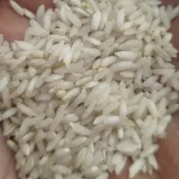 برنج عنبر بوی اصل به شرط مرجوعی