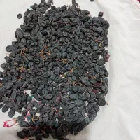 کشمش بیدانه سیاه