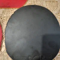 رویه راکت تنیس روی میز.