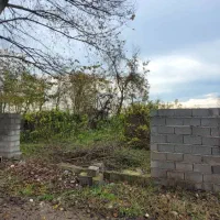 زمین مسکونی 285 متری دور تا دور دیوار