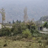 زمین-1800متری-باسند-تک-برگ