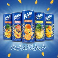 ویزیتور و بازاریاب خانم