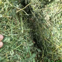 یونجه خشک بسته بندی|حیوانات مزرعه|بیله سوار, |دیوار