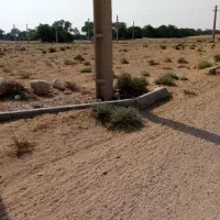 فروش زمین 2000متری|فروش دفتر صنعتی، کشاورزی، تجاری|برازجان, |دیوار