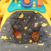 فروش کریر و روروک|کالسکه و لوازم جانبی|تهران, امیریه|دیوار