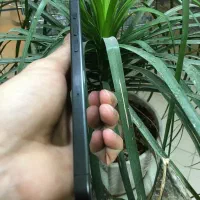 15promax 256G za/a|موبایل|اراک, |دیوار