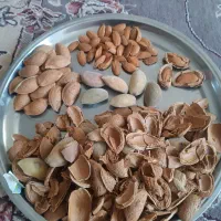 بادام سنگی شیرین ۱۰۰٪ اورگانیک|خوردنی و آشامیدنی|تهران, شهرک غرب|دیوار