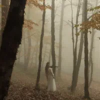 کلیپ حرفه ای و عکاسی حرفه ای مجالس