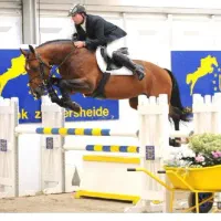 اسب یکسر خارجی