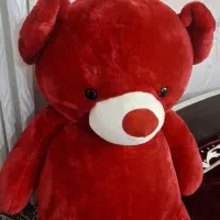 خرس ولنتاین