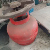 پیک نیک بزرگ سالم