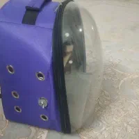 کیف حمل پرنده وحیوانات