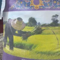 برنج هندی باسماتی