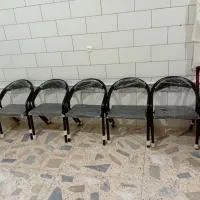 وسایل آرایشگاه و سالن|آرایشگاه و سالنهای زیبایی|لاران, |دیوار