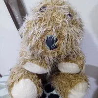 عروسک سگ پولیشی