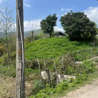 فروش زمین ۷۰۰ متری لوکیشن عالی(روستای لیپا)|فروش زمین و ملک کلنگی|ماسال, |دیوار