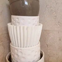 گلدان وگل|گل و گیاه طبیعی|اهواز, کوی باهنر|دیوار